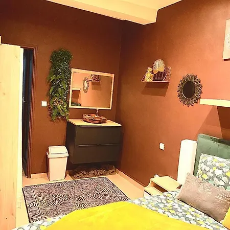 1 Chambre Hyper Centre * Perpignan
